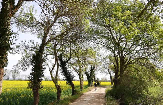 Découvrez les villages médiévaux à vélo au départ de Palafrugell - Photo 8