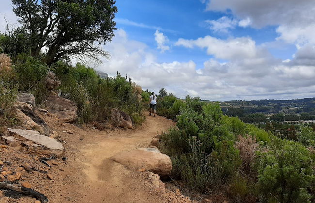 Senderismo por el valle de Banhoek + Visita a una bodega - Foto 2