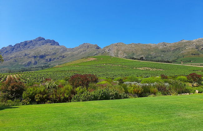 Senderismo por el valle de Banhoek + Visita a una bodega - Foto 4