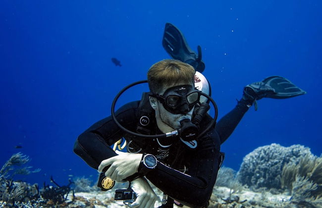 Baptême de plongée à Cozumel - Photo 2