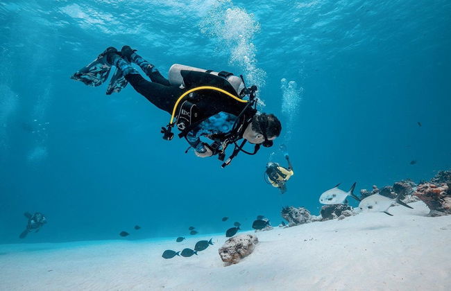 Bautismo de buceo en Cozumel - Foto 3