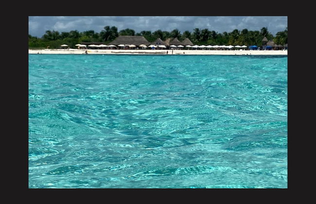 Baptême de plongée à Cozumel - Photo 3
