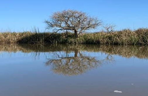 Tour delle isole di Imbé in kayak - Foto 7