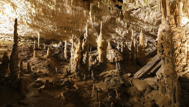 Postojna Cave & Predjama Castle Day Trip - Photo 2