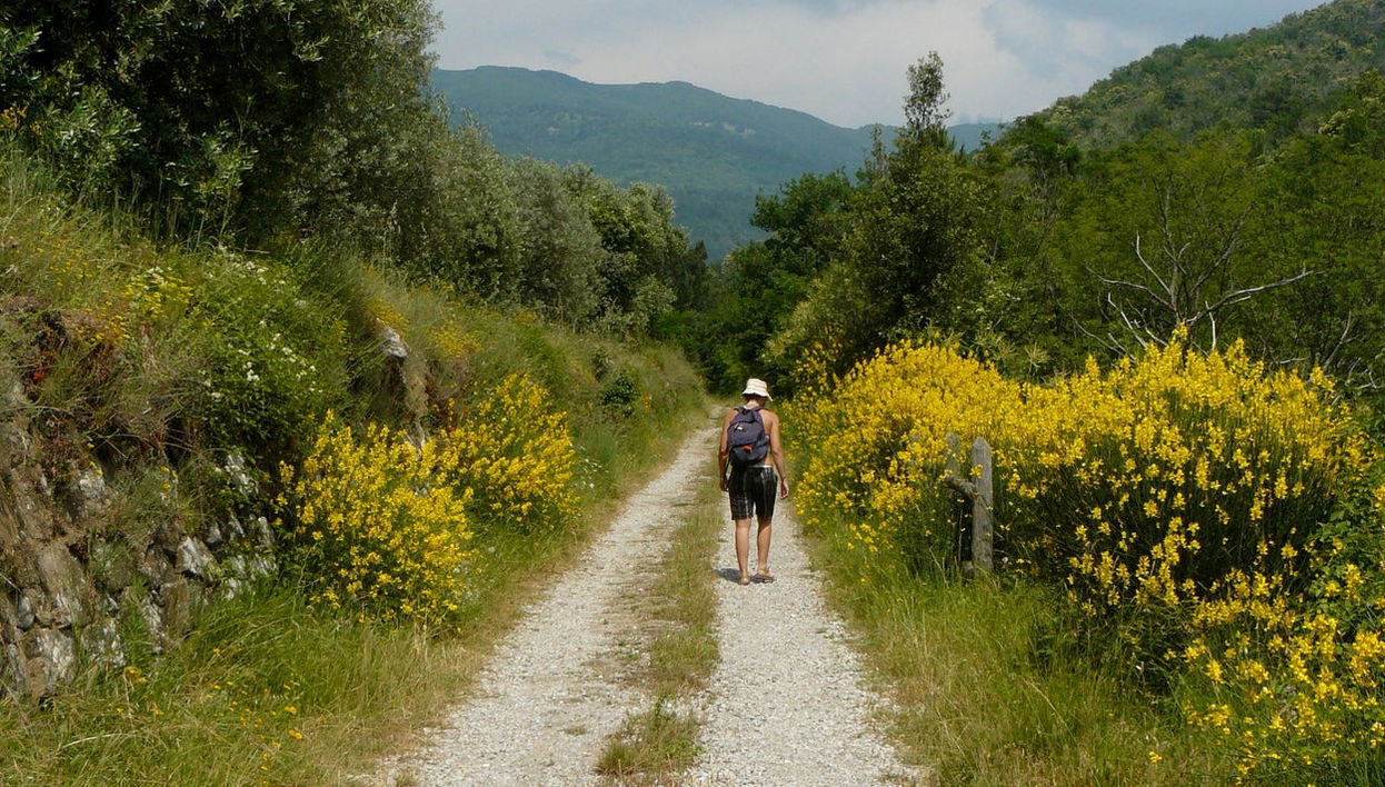 Trekking al torrente Resco Simontano - Photo 1