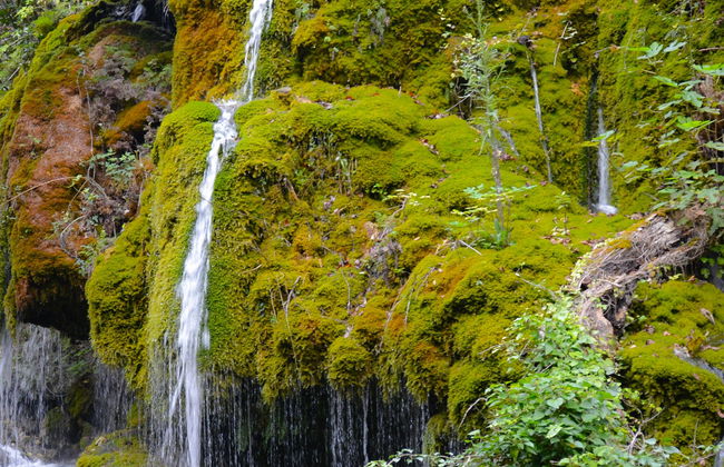 Hair of Venus Waterfalls Tour - Foto 3