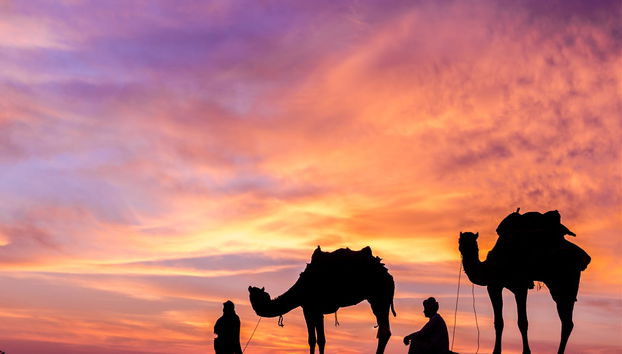 Private Desert Stargazing Tour in Riyadh - Foto 3