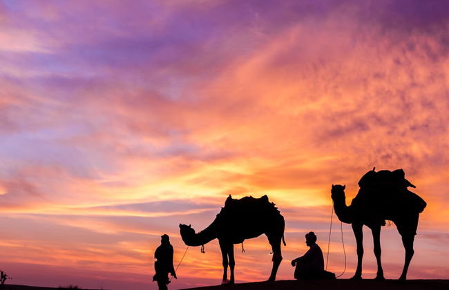 Private Desert Stargazing Tour in Riyadh - Foto 3