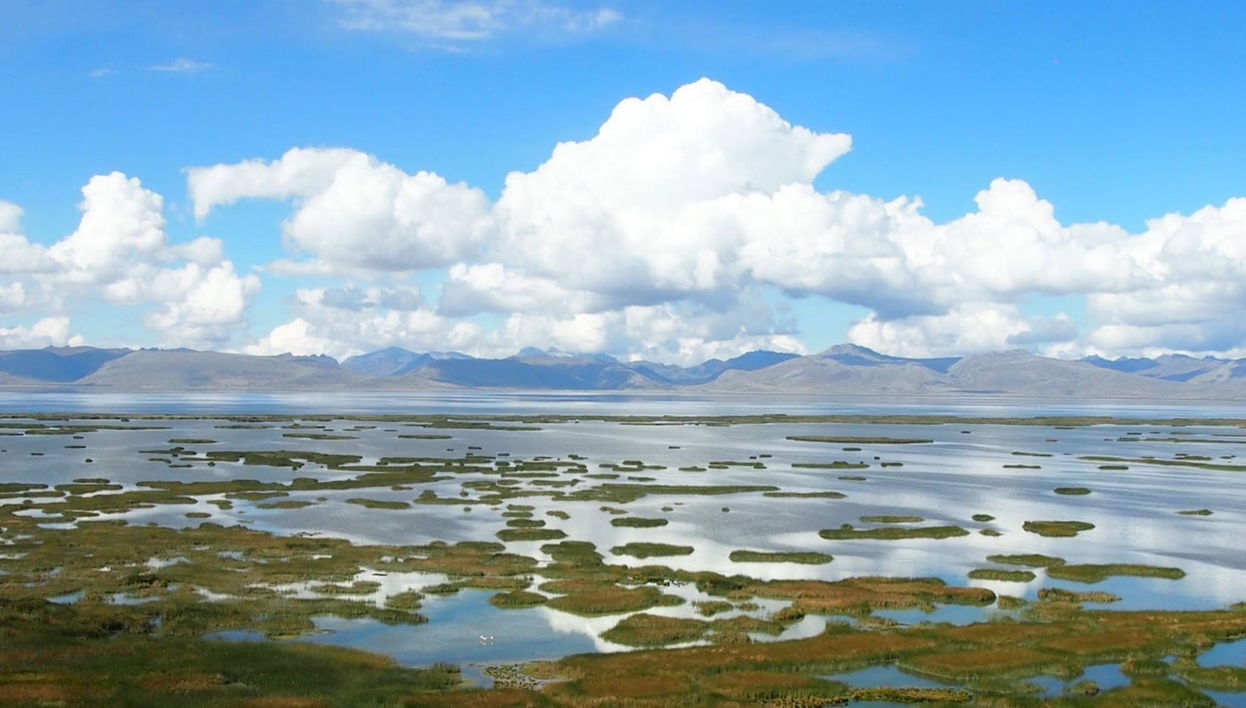 Excursión al Santuario Nacional de Huayllay - Foto 1