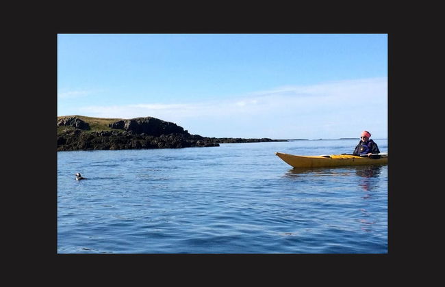 Tour en kayak por la costa de Stykkishólmur - Foto 2