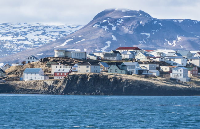 Tour en kayak por la costa de Stykkishólmur - Foto 7