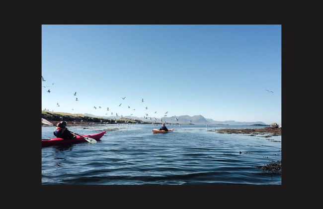 Tour en kayak por la costa de Stykkishólmur - Foto 5