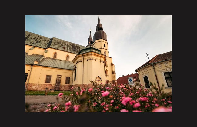 Trnava Day Trip by Train - Foto 2