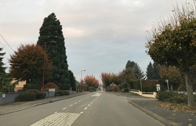 Táxi de motorista particular Estrasburgo - Obernai - Foto 5