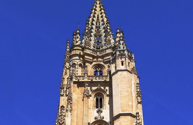 Tour guidato privato a piedi del centro storico di Oviedo - Foto 4