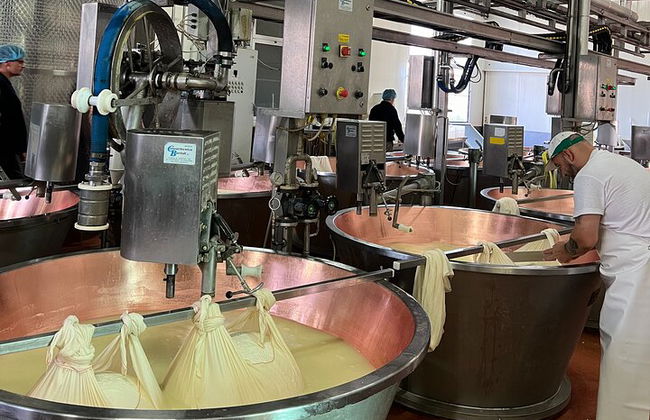 Ferrari-, Parmesan- und Balsamico-Tagestour ab Bologna - Foto 5