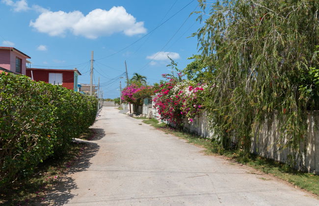 Havana Contrasts Tour - Photo 6