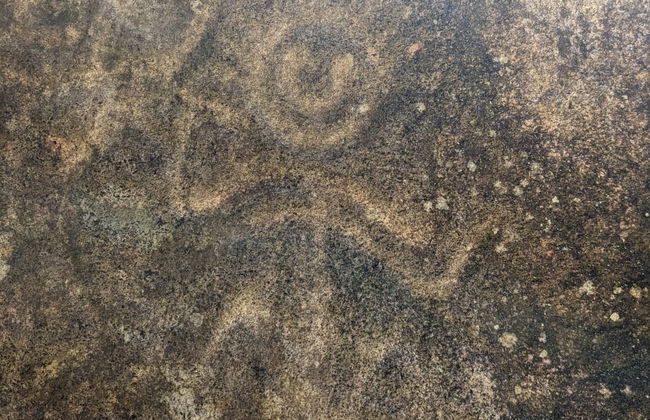 Excursion à la découverte des pétroglyphes de La Piedra Letrada - Photo 5