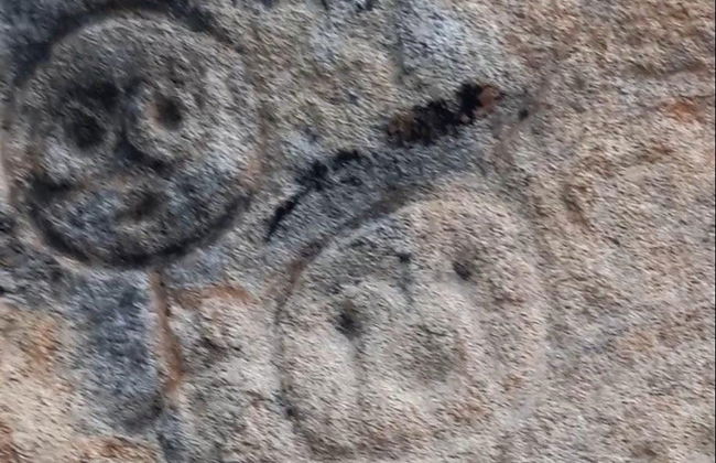 Excursion à la découverte des pétroglyphes de La Piedra Letrada - Photo 3
