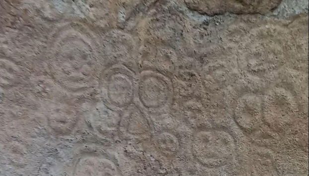 Tour in Constanza - Photo 2