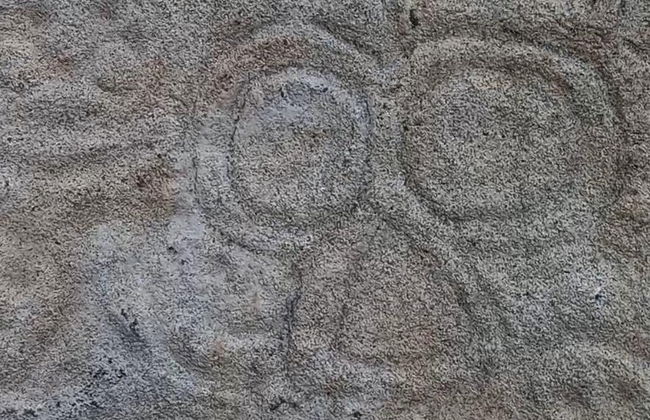 Excursion à la découverte des pétroglyphes de La Piedra Letrada - Photo 2