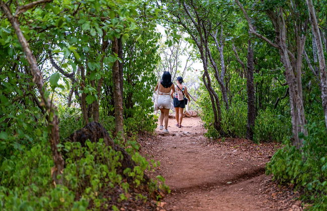 Excursión privada a Mazunte y los miradores de Puerto Escondido - Foto 8