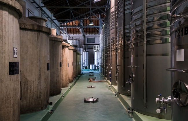 Visita a la bodega Cuatro Rayas - Foto 4