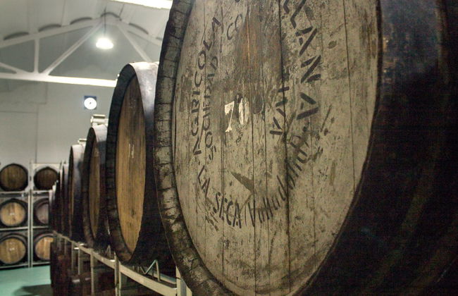 Visita a la bodega Cuatro Rayas - Foto 3