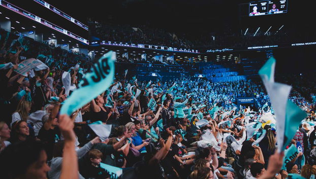 Billets pour la NBA : Brooklyn Nets ou New York Liberty - Photo 2
