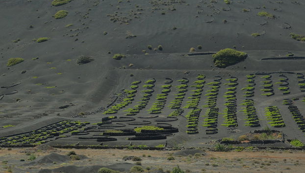 Tour en buggy y senderismo por el Parque Natural de Los Volcanes - Foto 4