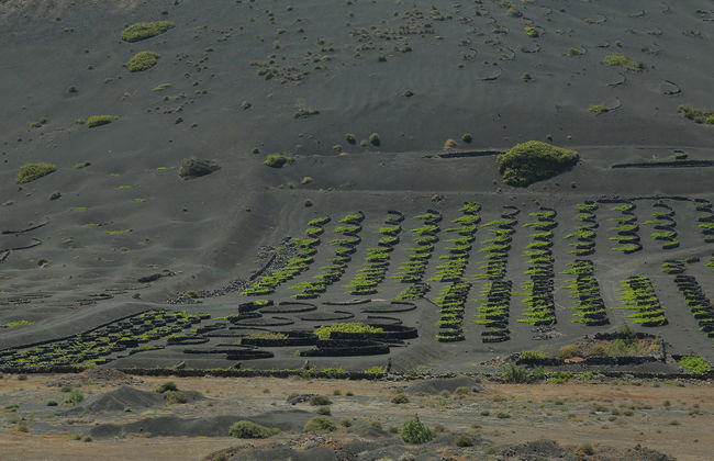 Tour en buggy y senderismo por el Parque Natural de Los Volcanes - Foto 4