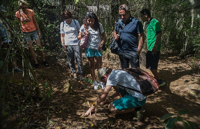 Excursión al Parque Guanayara de Topes de Collantes - Foto 4