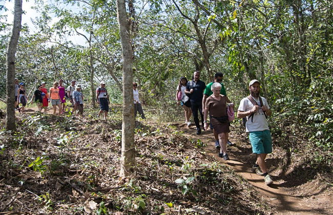 Excursión al Parque Guanayara de Topes de Collantes - Foto 7
