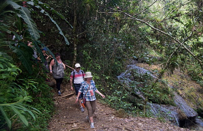 Excursión al Parque Guanayara de Topes de Collantes - Foto 5