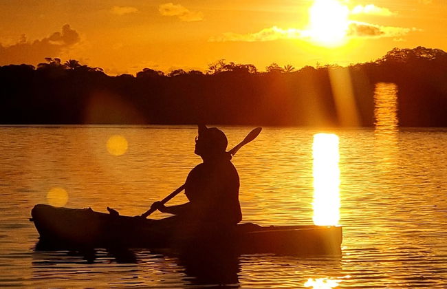 Tour in kayak al tramonto tra le mangrovie dell'isola di Boipeba - Foto 7