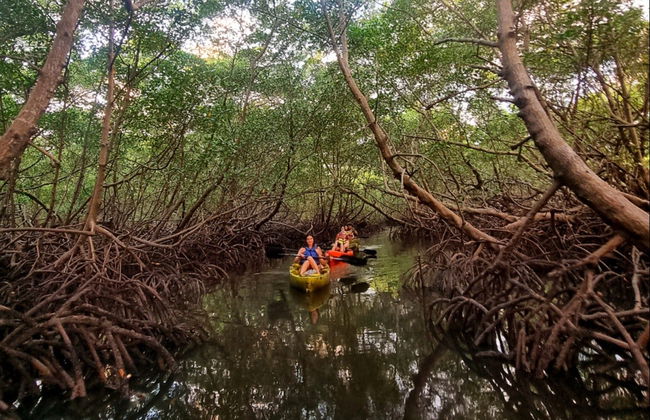 Tour en kayak al atardecer por los manglares de la isla de Boipeba - Foto 4
