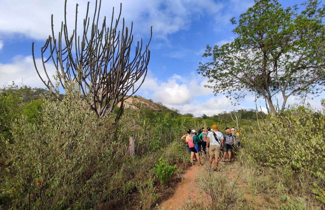 Excursion à Pedra do Altar - Photo 6