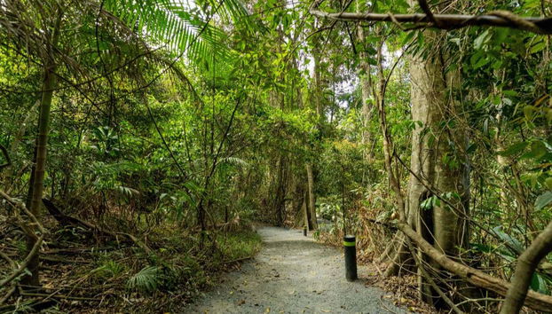 Glow Worm Caves Day Trip from Brisbane - Photo 5