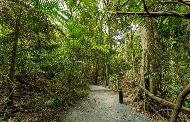 Glow Worm Caves Day Trip from Brisbane - Photo 5