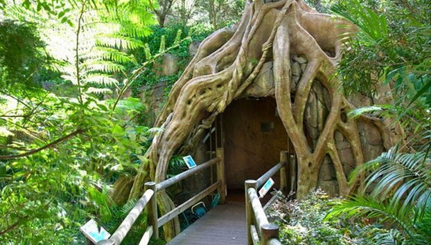 Glow Worm Caves Day Trip from Brisbane - Photo 2