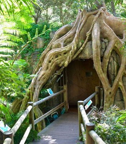 Photo – Glow Worm Caves Day Trip from Brisbane