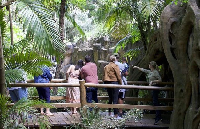 Excursión a las cuevas Glow Worm de la montaña Tamborine - Foto 4