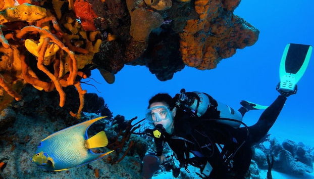 Explore Cozumel's barrier reef