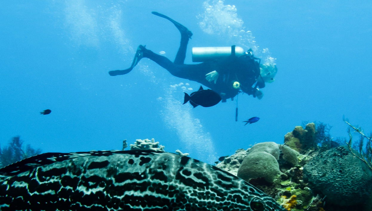 Scuba Diving in Cozumel