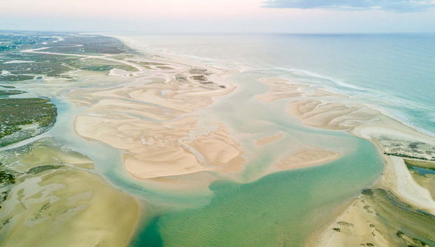 Paseo en lancha por la Ría Formosa - Foto 3