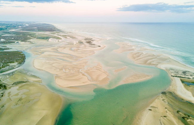Paseo en lancha por la Ría Formosa - Foto 3