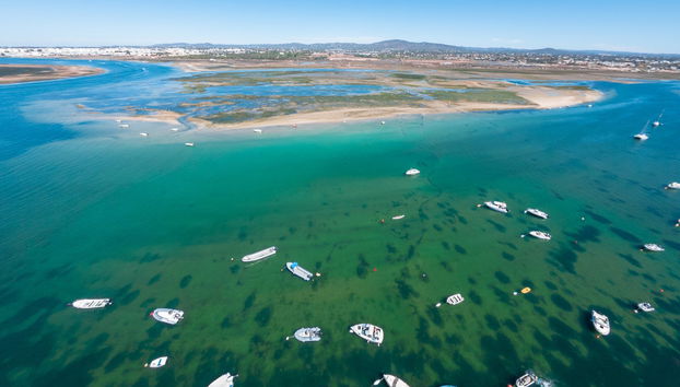 Paseo en lancha por la Ría Formosa - Foto 4