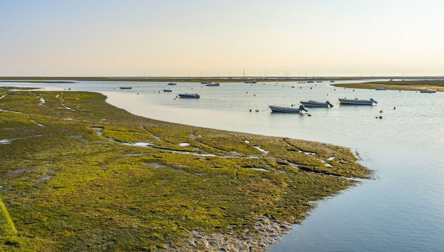 Paseo en lancha por la Ría Formosa - Foto 5