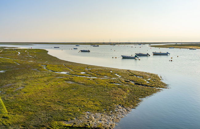 Paseo en lancha por la Ría Formosa - Foto 5