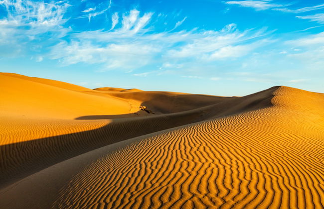 Thar Desert Private Camel Ride - Photo 4